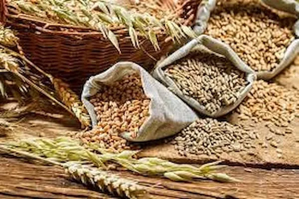 خرید سویق کامل ۵۰۰ گرمی با قیمت استثنایی