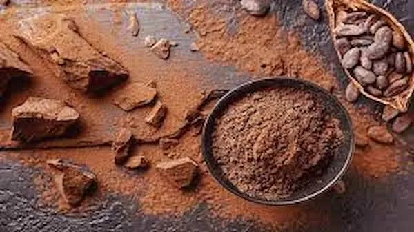 سویق هسته خرما + قیمت خرید، کاربرد، مصارف و خواص