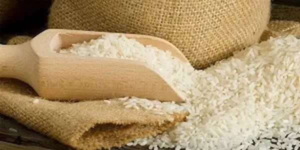 راهنمای خرید سویق سیب و برنج + قیمت عالی